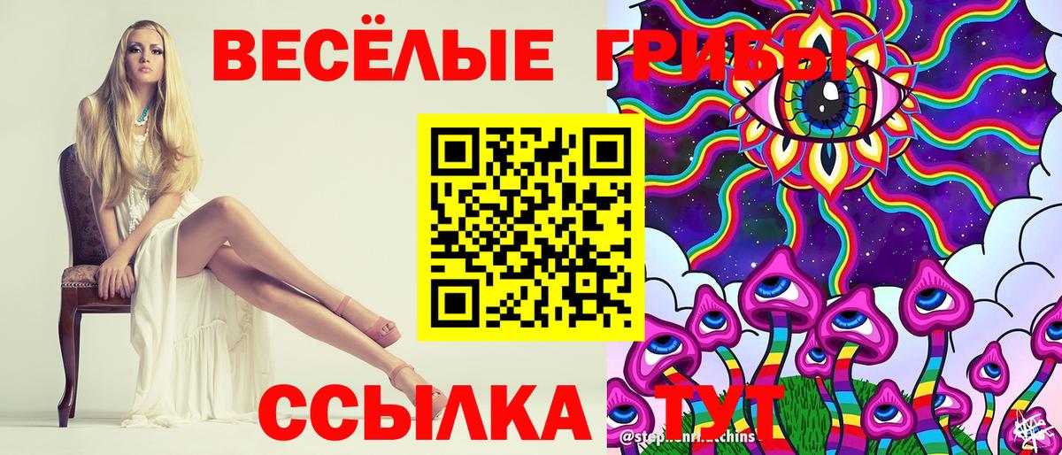 Псилоцибиновые грибы мицелий Кропоткин