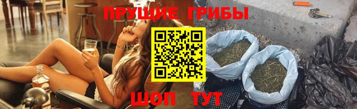 Псилоцибиновые грибы Psilocybe  где купить   Кропоткин  Вход с VPN 
